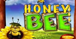 Honey Bee