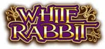 White Rabbit Schriftzug