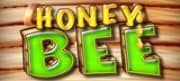 Honey Bee